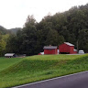 Meet your Posher, Brenda